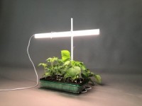 Как светильники могут помочь вашим растениям